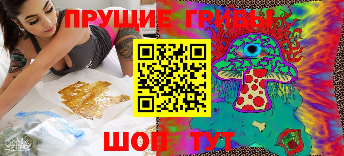 Камышлов  Галлюциногенные грибы Magic Shrooms  Вход с VPN 